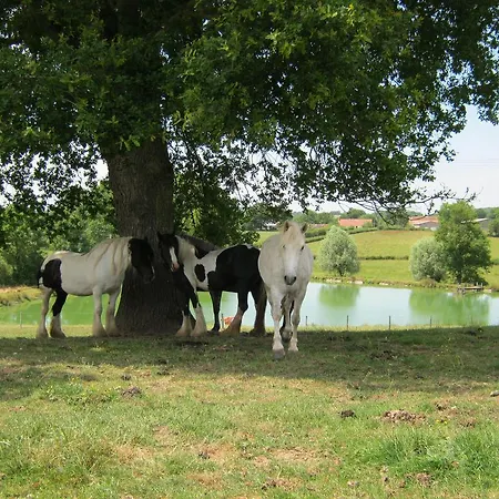 莱斯威尼利斯住宿加早餐旅馆