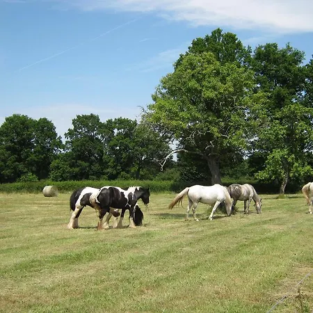 莱斯威尼利斯住宿加早餐旅馆 度假居