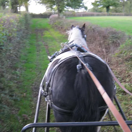 莱斯威尼利斯住宿加早餐旅馆 Saint-Aubin-le-Monial